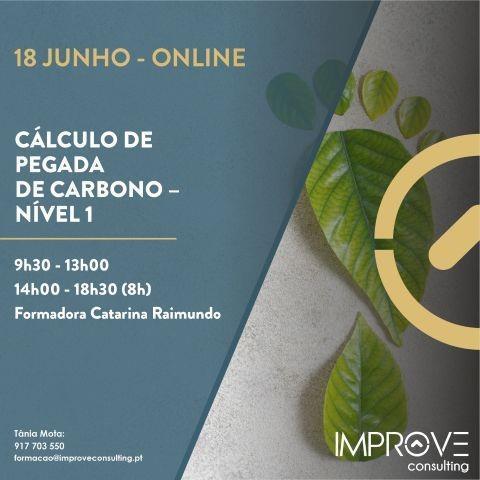 Cálculo de Pegada de Carbono – Nível 1